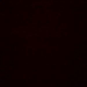 Meet your Posher, Kenny